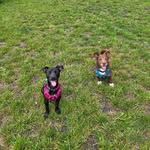 Vicki Ogle - @vickirogle - Instagram