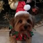 Vickie Ogletree - @vickieogletree - Instagram