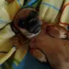 vickieogles7 - @vickieogles7 - TikTok