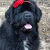 Vickie Olson - Facebook