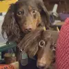 Vickie Olson - @vickie.olson0 - TikTok