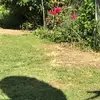 Vickie Parrish - @vickie.parrish6 - TikTok