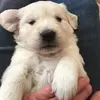 Vicki Patrick - @vickipatrick0208 - TikTok