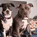 Vickie Pearson - Facebook