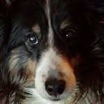 Vickie Pierce - @vfpi14901 - Instagram