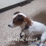 Vickie Pierce - @vickie_pierce_5763 - Instagram