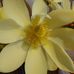 Vickie Pratt - Facebook
