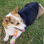 Vickie Pratt Wyman - @vickie_pratt_wyman - Instagram