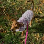 Vickie 🐾 - @queen.vickie.and.co - Instagram