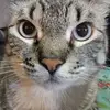 Vickie Ramirez - @vickie.ramirez6 - TikTok