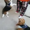 vickieramirez21 - @vickieramirez21 - TikTok