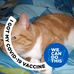 Vicki Redman - Facebook