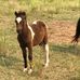 Vickie Roberson - Facebook