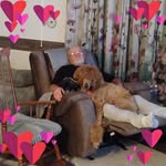Vickie Roberson Flowers - @vickieflowers6 - Instagram