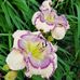 Vickie Repp - Facebook
