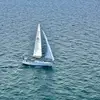 Vicki Samples - @vicki.samples - TikTok