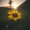 vickiesample2 - @vickiesample2 - TikTok
