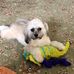 Vickie Saunders - Facebook