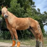 Vicki Schulz - @vicki.schulz.31 - Instagram