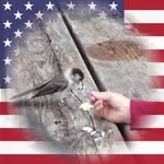 Vickie Setzer - @vickie2000_setzer2000 - Instagram