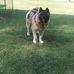 Vickie Setzer - Facebook