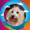 vickiesevert - @vickiesevert - TikTok