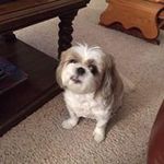 Vickie Shields - @vshields_2000 - Instagram