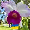 vickieshuffitt682 - @vickieshuffitt682 - TikTok