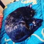 Vickie Steele - @vickie.steele.73 - Instagram