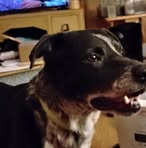 Vickie Steele - Facebook