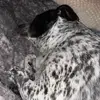 Vicki Sutherland - @vicki_sutherland2323 - TikTok