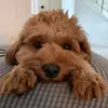 vickiesutton37 - @vickiesutton37 - TikTok