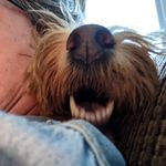 Vicki Tompkins - @vickitompkins1 - Instagram
