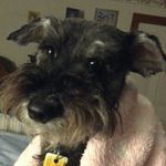 Vickie J Tompkins - @vic4ulee - Instagram