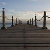 VickieTompkins6433 - @vickietompkins6433 - TikTok