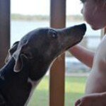 Vicki Vail Nardozzi - @vickinardozzi - Instagram