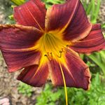 Vicki varner - @varner1962 - Instagram