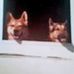 Vickie Varner - Facebook