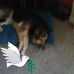 Vickie Varner - Facebook