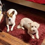 Vickie Klepper Wall - @vickie.wall527 - Instagram