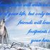 Vickie Wolf - Facebook