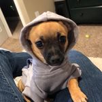 Vicki Workman - @redhd99 - Instagram