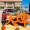 Vickie菊 - @vickieyang0 - TikTok