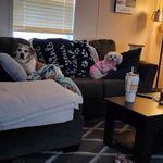 Vickie Lee Yoder - @vickielee489 - Instagram