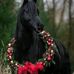 Vicky Yoder - Facebook