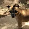 Vicki Abraham - @vicki.abraham63 - TikTok