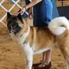 Vickie Abraham - @vickie.abraham - TikTok