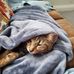 Vicky Adkins - Facebook
