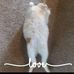Vicki Akers - Facebook