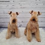 Sam Edwards - @vicky.albert.965 - Instagram